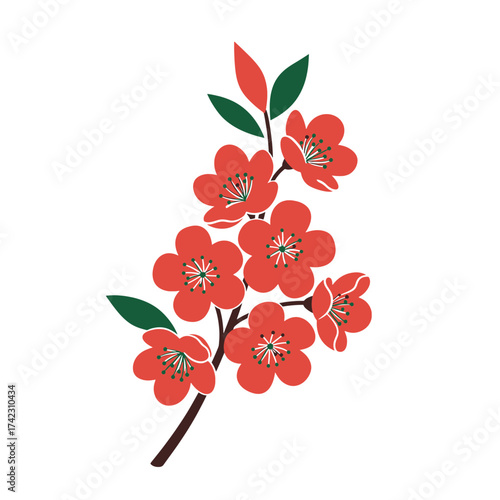 Red flowering branch with green leaves on white background for design