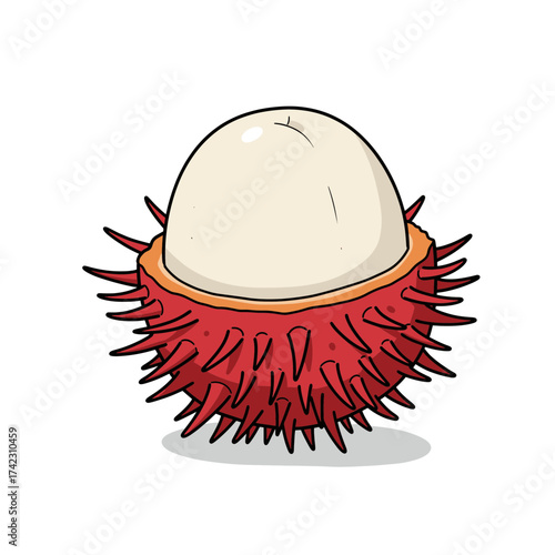 Illustration of a rambutan fruit with spiky red exterior and white interior