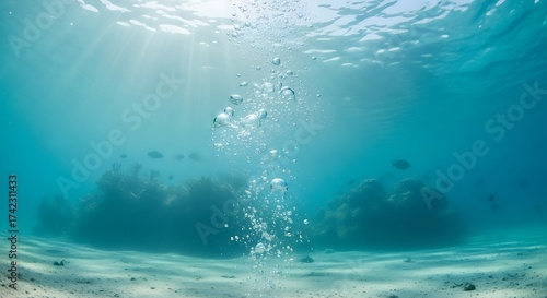 Underwater bubbles rising from sandy ocean floor with sunlight.