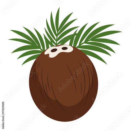 Coconut with palm leaves on white background for tropical themes