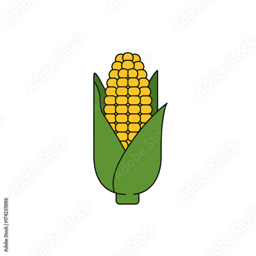 Illustration of an ear of corn with green husk for agricultural themes
