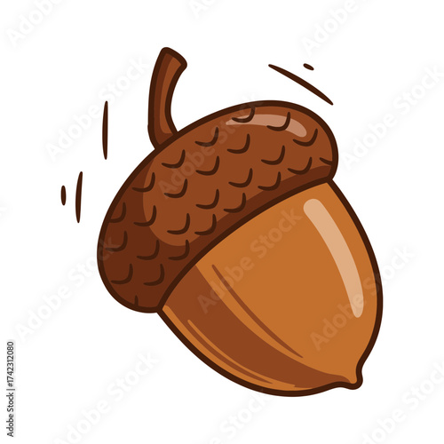 Acorn with a sturdy cap and smooth body isolated on white