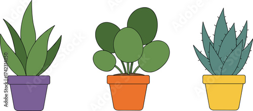 Colorful potted houseplants illustration, indoor succulent and cactus plants in vibrant pots, minimal flat vector design for home decor art