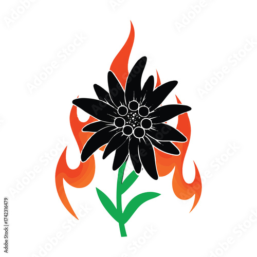 Edelweiss flower enveloped in flames bold and symbolic design illustration