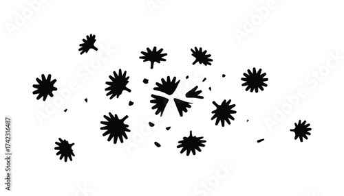 Black-and-white flower cluster