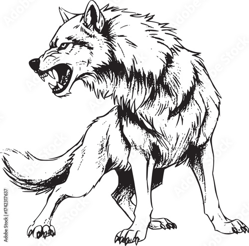 Angry Wolf Sketch