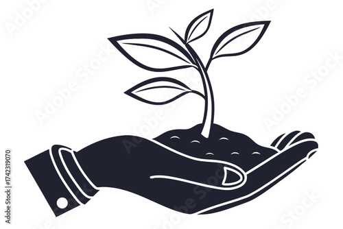 hand holding plant