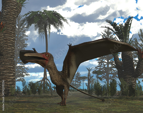 Pterosaur Eotephradactylus (