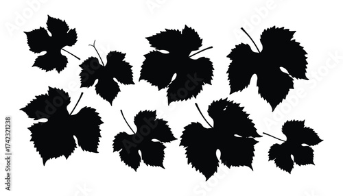 Grape Vine Leaves Silhouette