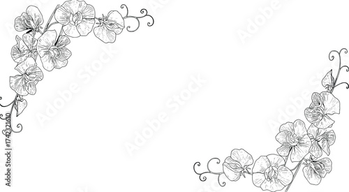 Sweet pea flower corner border frame