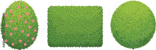 Green bush and hedge illustration with round, oval, and rectangular shapes, garden plant design, nature landscaping element, isolated vector
