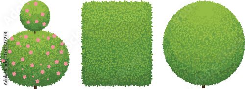Green garden topiary bush illustration with round, square, and flower shapes, trimmed plant design, nature landscape, outdoor foliage vectorGreen garden topiary bush illustration with 