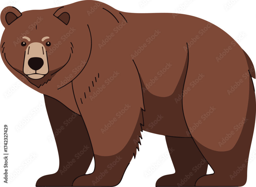 Fototapeta premium brown bear vector