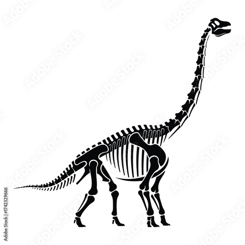 Black and white brachiosaurus skeleton illustration isolated on white background