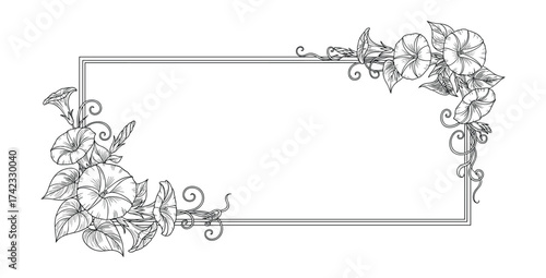 Morning Glory Flower Frame Border