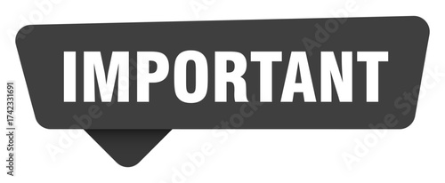 important black sign isolated on transpatent background. important sticker