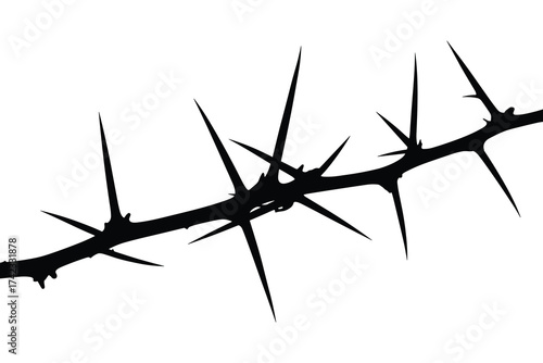 Thorny Branch Silhouette