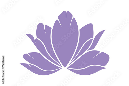 Purple lotus flower blooming