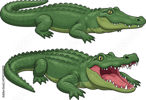 Two cartoon crocodiles illustration, green alligator animals with open and closed mouth, wild reptile vector design for education and art