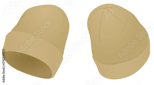 Brown winter hat. vector illustration	
