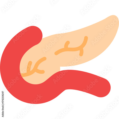 Pancreas Icon