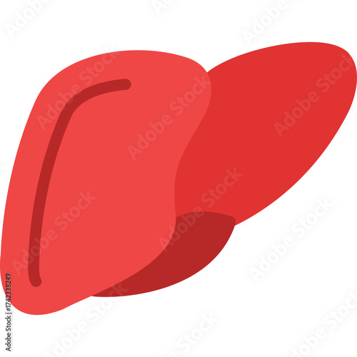 Liver Icon