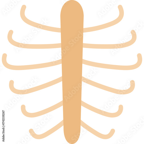 Ribcage Icon