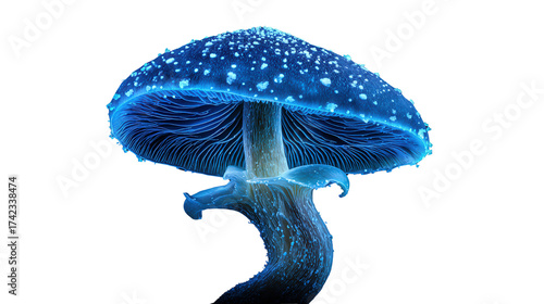 Glow-in-the-dark mushroom background isolated on a Transparent background, PNG file.