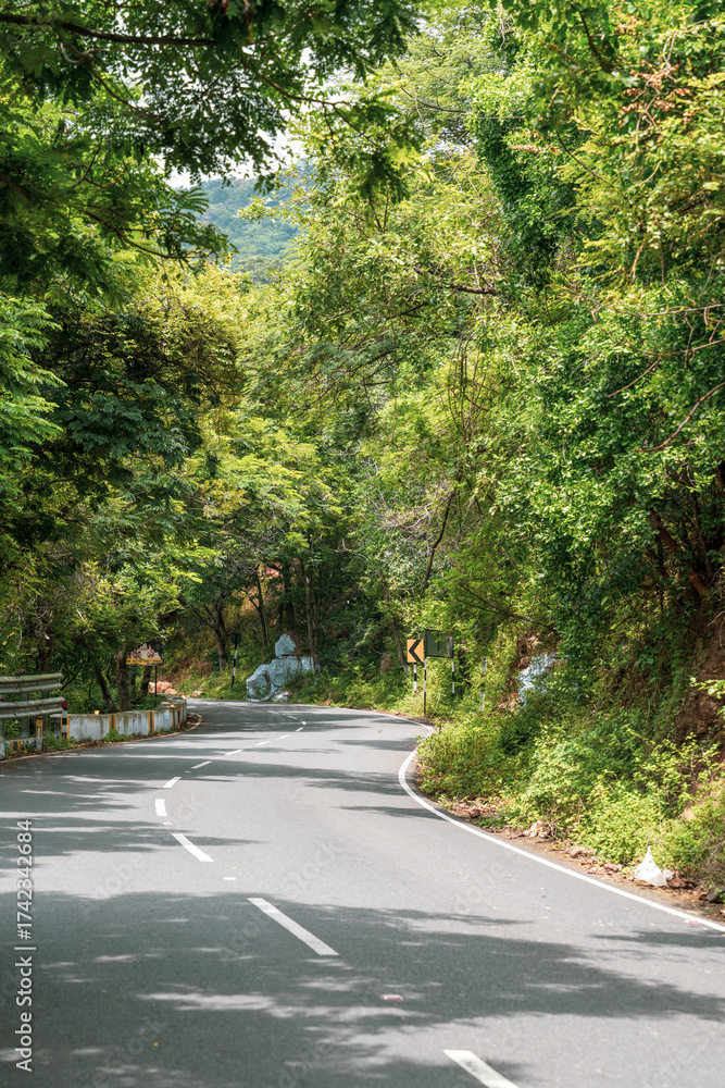 Fototapeta premium A road with trees on both sides