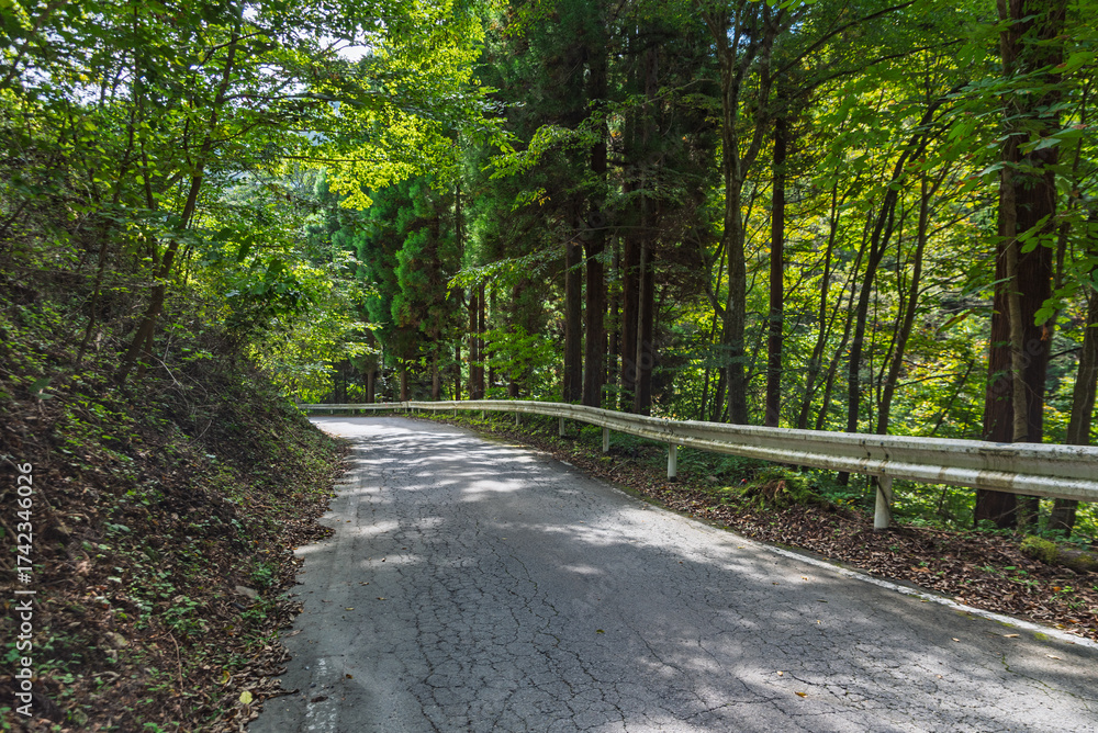 Obraz premium 国道299号線十石峠の群馬県側の狭い山道