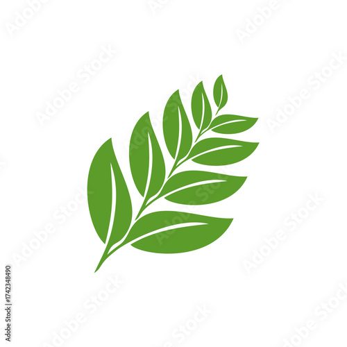 Fresh green plant leaves and branch isolated on a white background, representing nature and botany