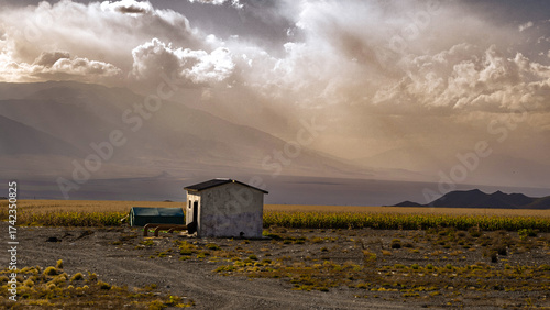 The lonely house