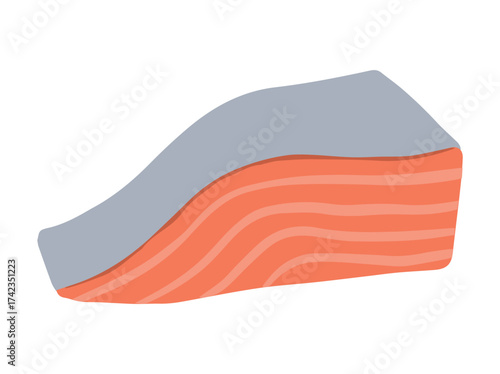 Salmon Fillet Illustration