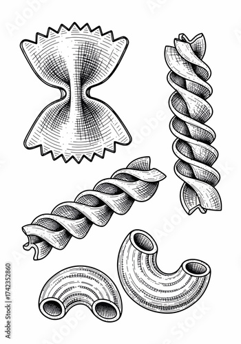 Pasta sketch with farfalle, fusilli, and elbow macaroni shown in detailed line drawing. Different pasta types sketch, like farfalle, fusilli, elbow macaroni, communicate the variety of pasta shapes.