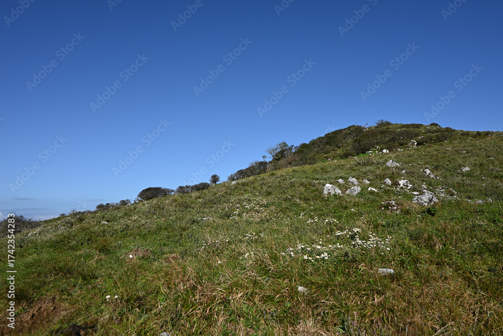 Φωτογραφία Climbing Mt. Ibuki, Shiga, Japan