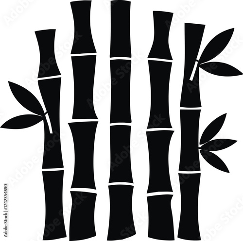 Vertical slender bamboo grove with lush green leaves and intricate trunk details isolated on white background isolated on transparent background