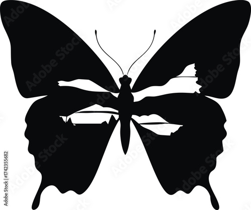 Artistic double exposure butterfly with inner landscape scene isolated on white background isolated on transparent background