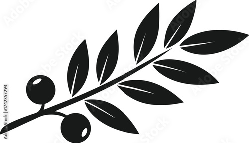 A black olive branch vector illustration featuring organic green leaves and floral design elements as a natural eco symbol for oil and tree plant patterns