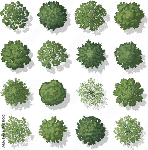 Isolated a kinds of deferent Vector tree top view isolated on white background for landscape plan and architecture layout drawing, elements for environment and garden vector art with white background.