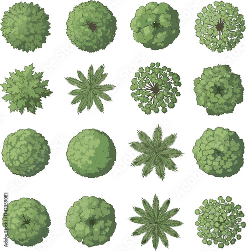 solated a kinds of deferent Vector tree top view isolated on white background for landscape plan and architecture layout drawing, elements for environment and garden vector art with white background.
