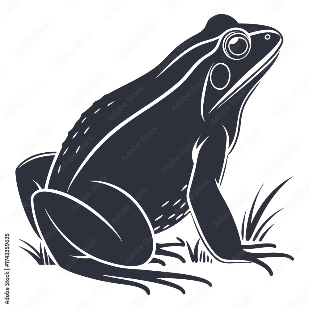Obraz premium frog vector illustration