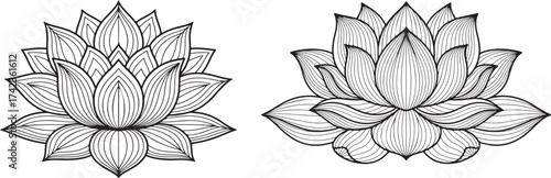 Two intricately detailed black and white line art illustrations of blooming lotus flowers with symmetrical petal patterns and decorative elements