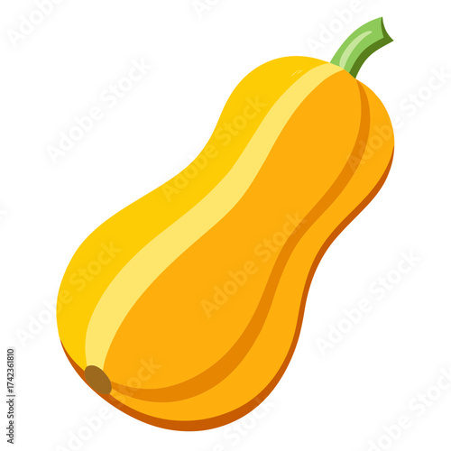 Illustration of a butternut squash, a nutritious and delicious vegetable, perfect for healthy meals and recipes