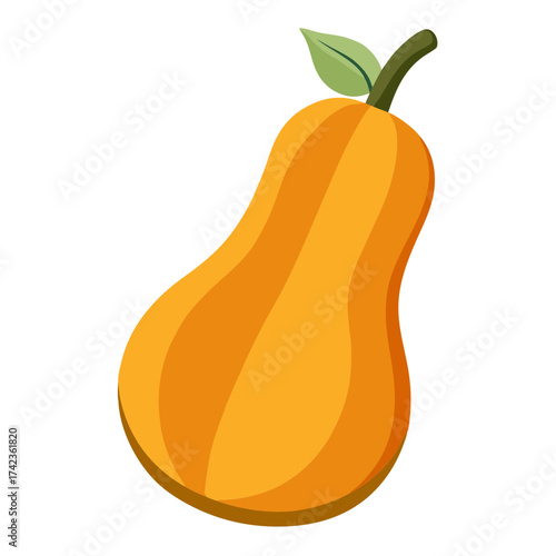 Illustration of a pear shaped butternut squash, a nutritious and delicious vegetable, perfect for healthy meals