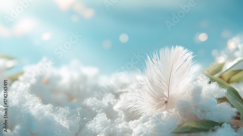 Delicate feather resting on soft white surface with soft blue background