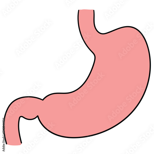 Hand-drawn cartoon human stomach on a white background.