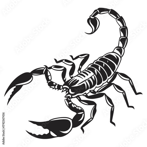 scorpion isolated on white background