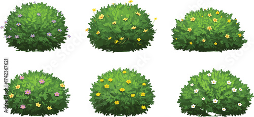 Colorful flowering bushes with purple, yellow, orange, pink, and white blossoms, decorative garden shrubs, outdoor greenery plants, cad drawing flat vector illustration