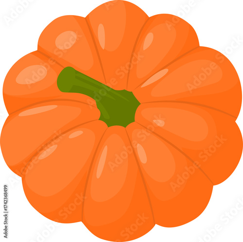 vector illustration of a pumpkin