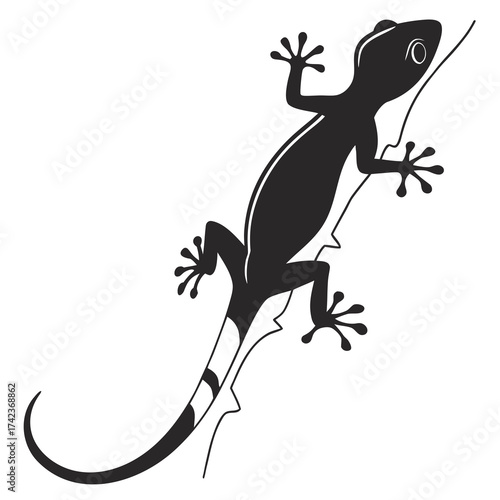 lizard on a branch